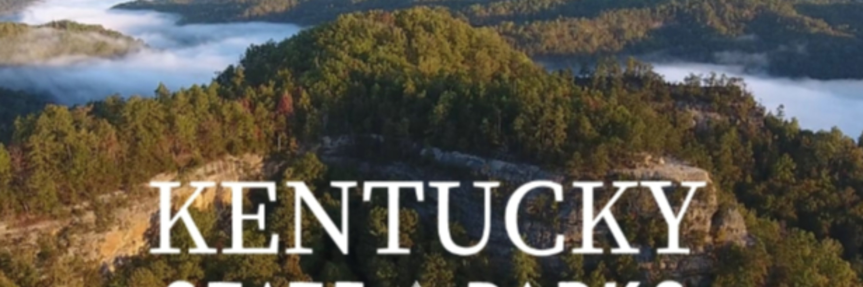 Ky Trees